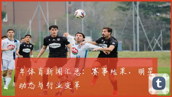 年体育新闻汇总:赛事结果、明星动态与行业变革