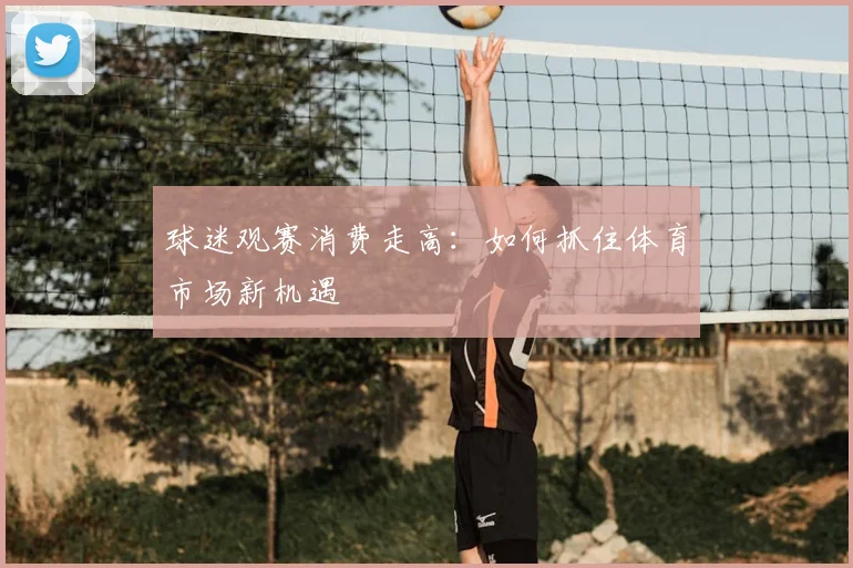 球迷观赛消费走高：如何抓住体育市场新机遇